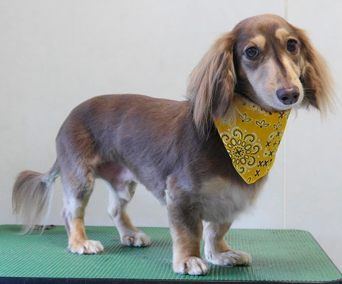 米田ジロウちゃん