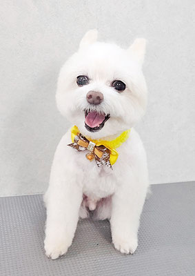 中村ココちゃん