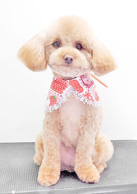 岩元ナノちゃん