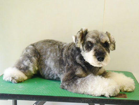 徳地ティアちゃん