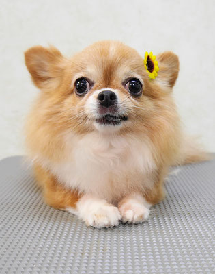 川田オカンちゃん