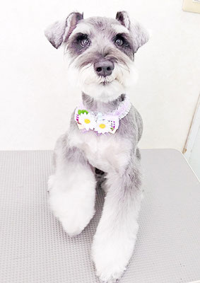 糸山そらちゃん