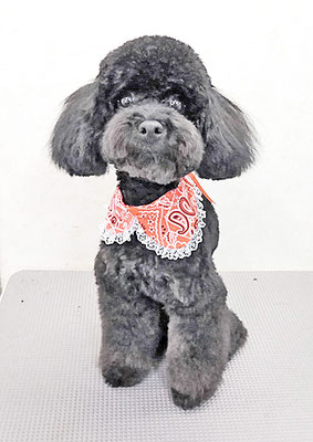 野口サニーちゃん