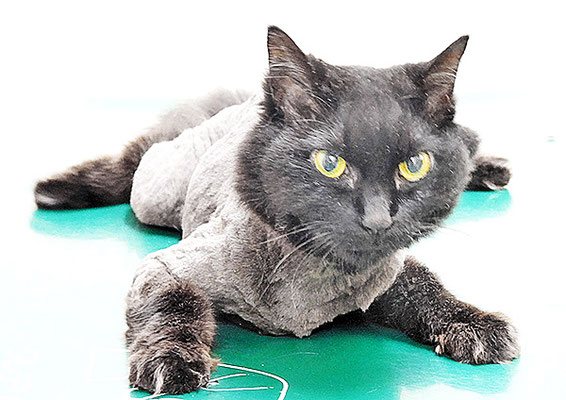 長田ゆいちゃん