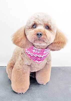 榎元チョコちゃん