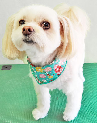 大脇ココアちゃん