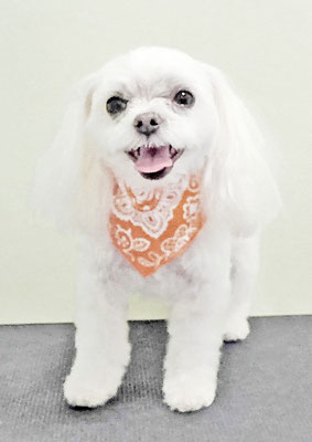 上床カリンちゃん