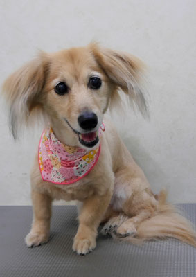 江口エルちゃん