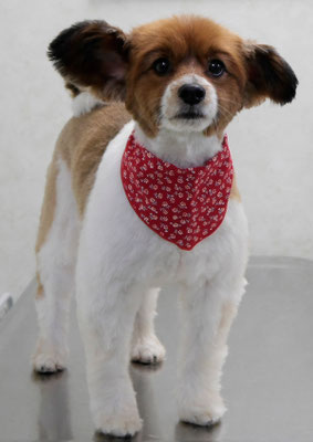 玉利ユズちゃん