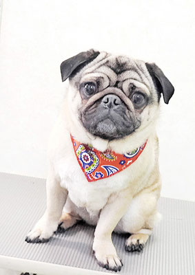 田邊ギンちゃん