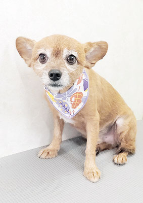 助村ルウちゃん