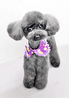 鈴木めめちゃん