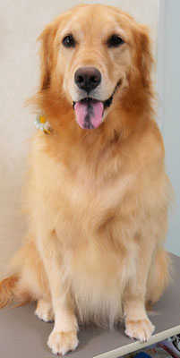 菊川チェリーちゃん