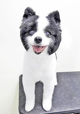 八木マリアンちゃん