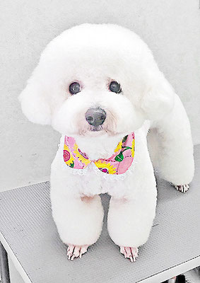 内田おもちちゃん