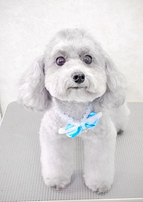 田中ロビンちゃん