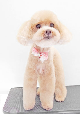 堀内まりもちゃん