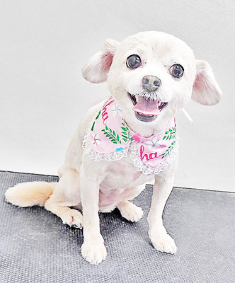 酒井ヒナちゃん