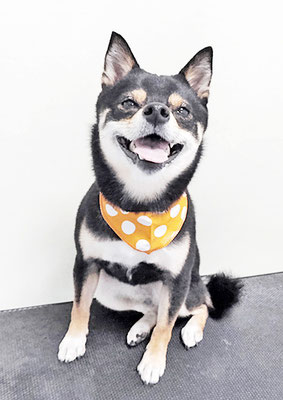 中尾あんずちゃん