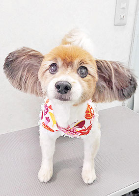 玉利ゆずちゃん