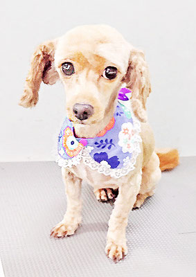 中村てぃーちゃん