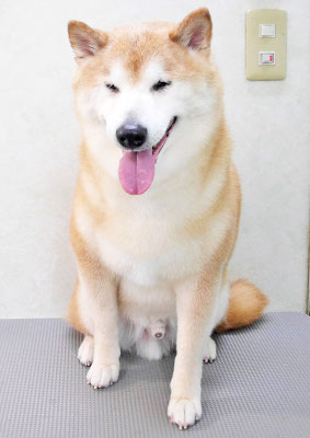 竹崎クウちゃん