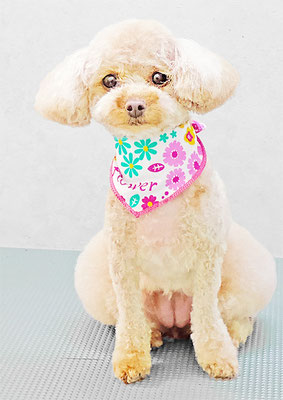 岩元ナノちゃん