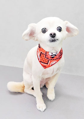 酒井ひなちゃん