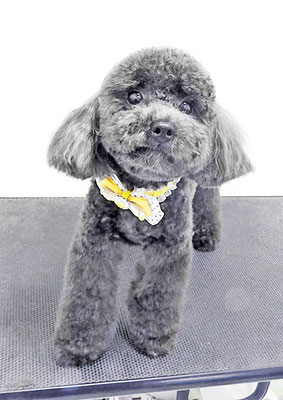 石田おはぎちゃん