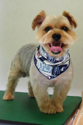 山下レオちゃん