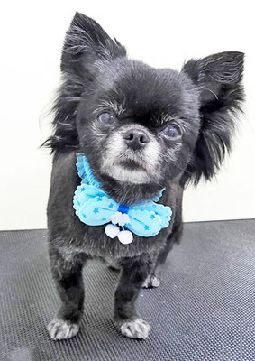 重留りゅうちゃん