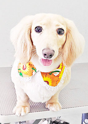 松村エルちゃん