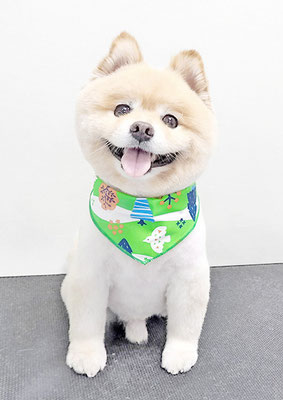 中間小次郎ちゃん