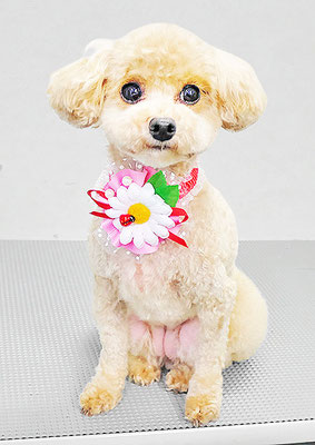 岩元チルちゃん