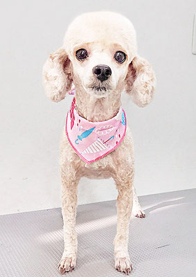 新留モコちゃん