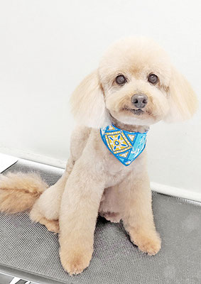 金谷ムサシちゃん