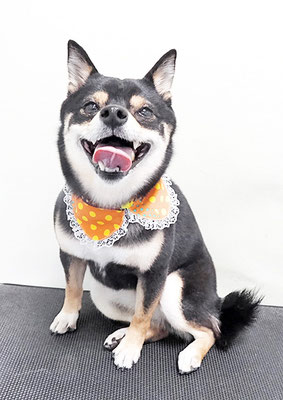 中尾あんずちゃん