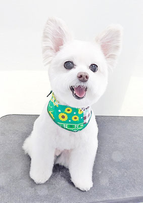 中村ココちゃん