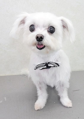 竹内ユリちゃん