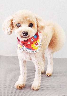 岩元チルちゃん