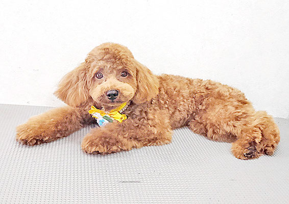 坂元むぎちゃん