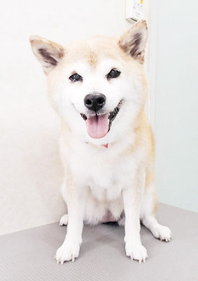 小田ハルちゃん