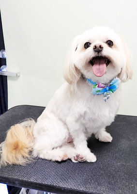 大脇ココアちゃん