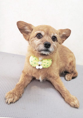 助村ルウちゃん