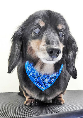 新地ノアちゃん