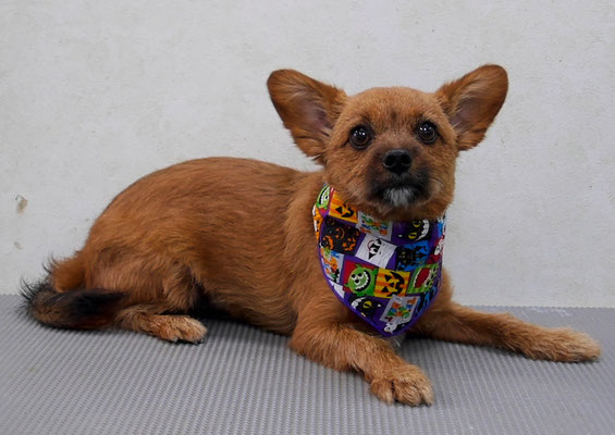 助村るぅちゃん