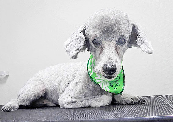 竹崎コナンちゃん