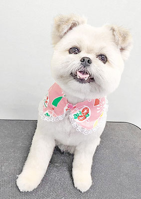 太崎ちゅらちゃん