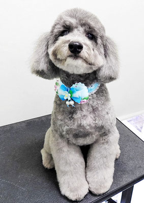 橋口最中ちゃん