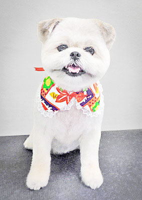 太崎ちゅらちゃん